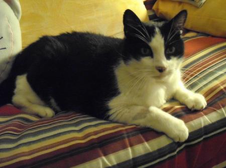 Derniere photo de Cachou